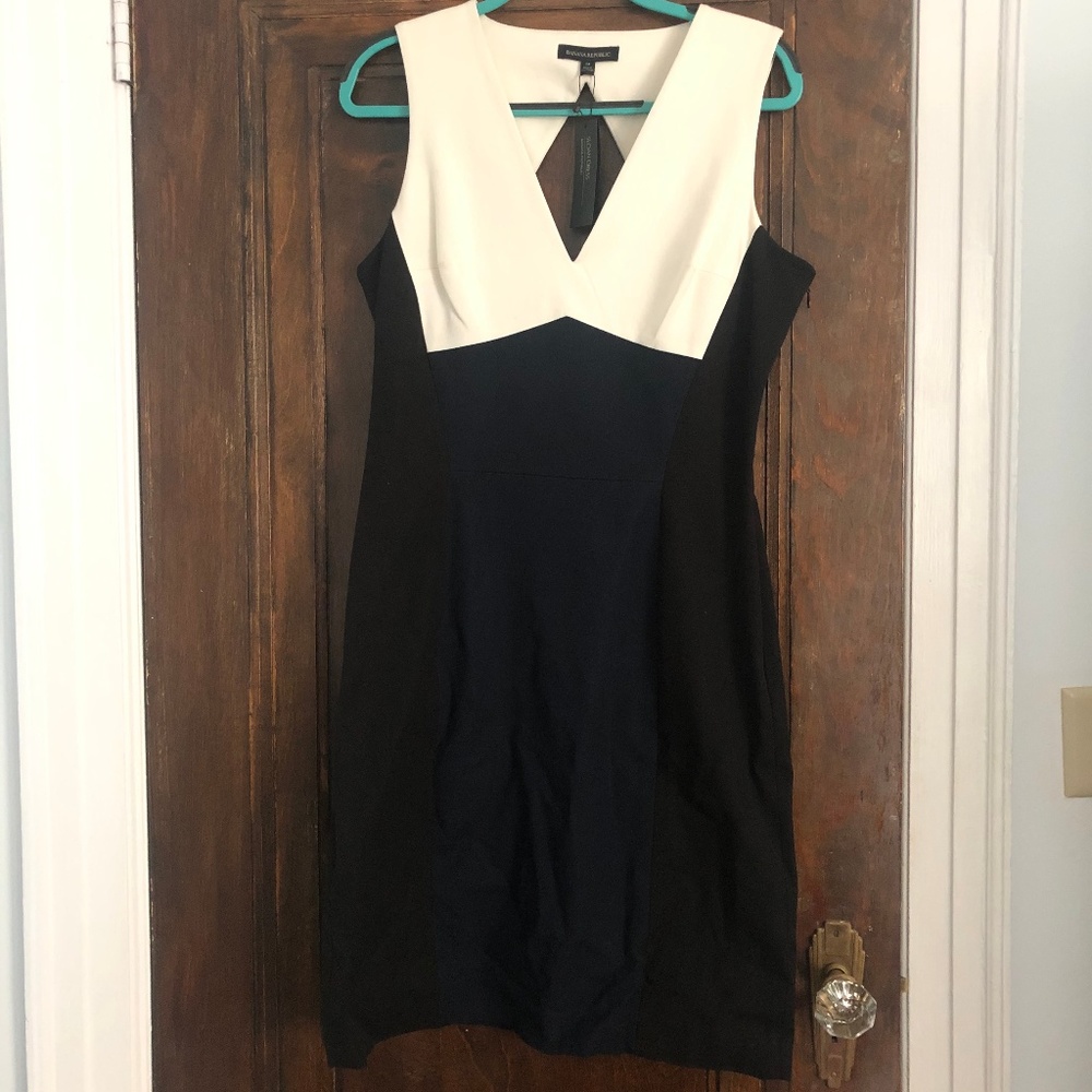 Banana Republic Colorblock Dress